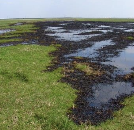 Environmental Liability